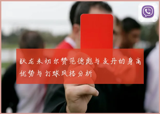 狄龙米切尔赞范德彪与麦丹的身高优势与打球风格分析
